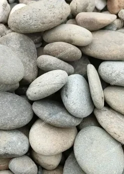 Đá Cuội Dẹt Trang Trí Sân Vườn Kích Thước 10-20cm - quang minh stone 1