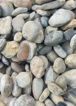 Alternative view of Đá Cuội Dẹt Trang Trí Sân Vườn Kích Thước 10-20cm