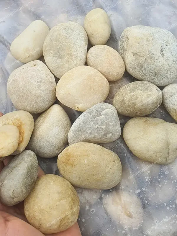 Sỏi Vàng Nghệ Rải Sân Vườn - quang minh stone 1